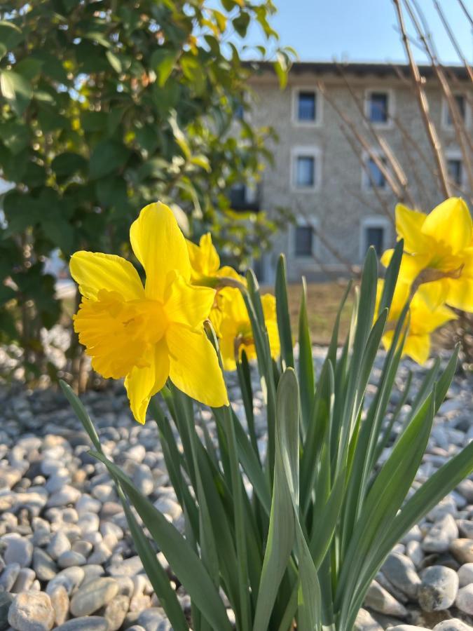 Отель Atmosfere Charme & Country Borgo San Mauro Экстерьер фото